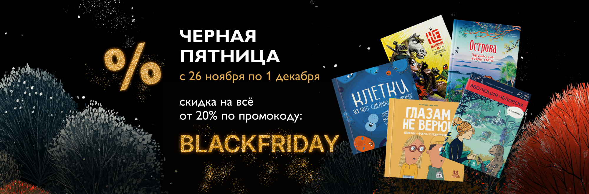 Черная Пятница с 26 ноября по 1 декабря! Скидки на ВСЁ!
