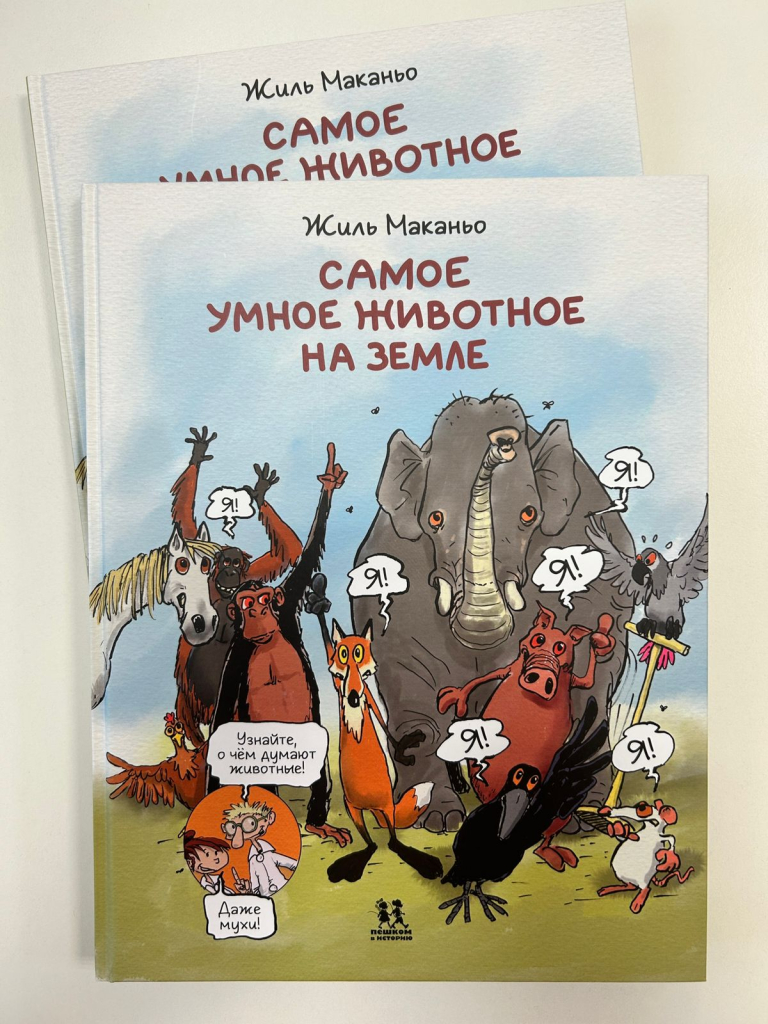 WhatsApp Image 2025-10-07 at 12.27.18.jpeg