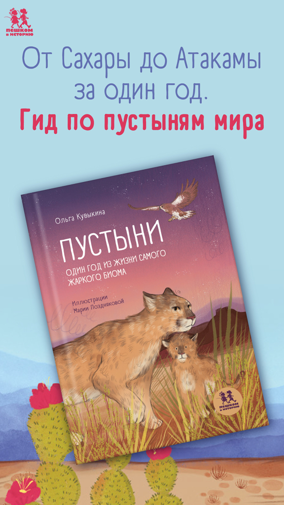 пустыни 1080х1920.jpg