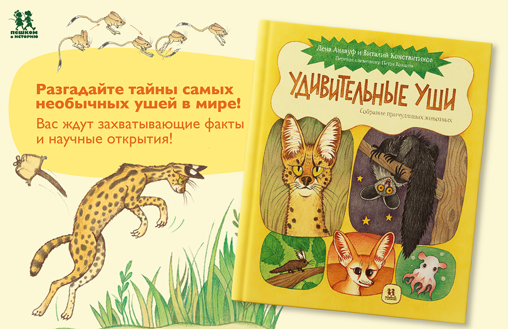уши 1000-649.jpg уши 1000-649.jpg