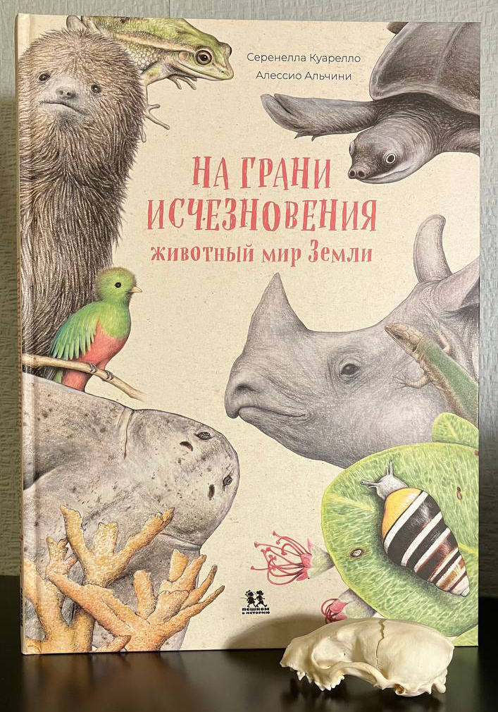 scale_2400 (18).jpeg