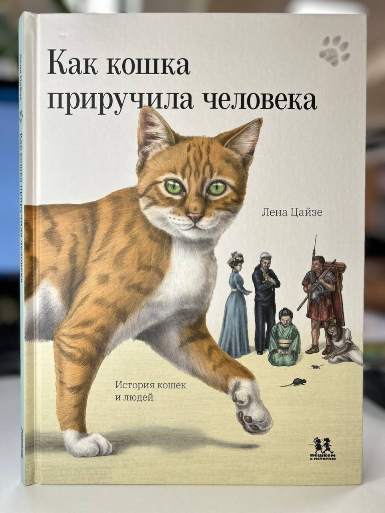 scale_2400 (20).jpeg