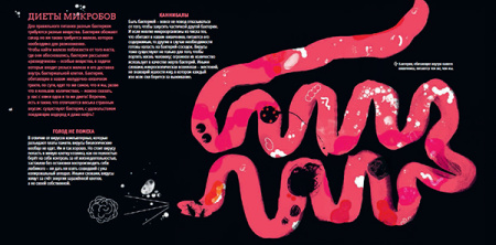 Тайная война микробов