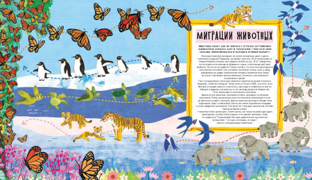 Куда идут пингвины?