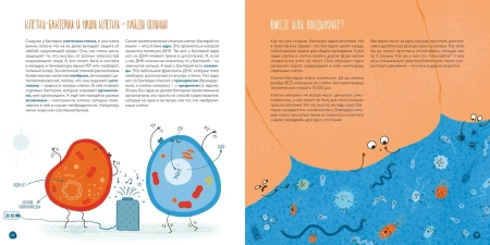 Клетки: из чего сделано всё живое