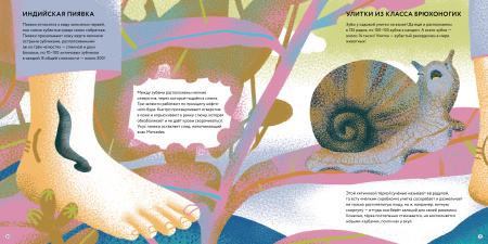 Зубки и зубищи