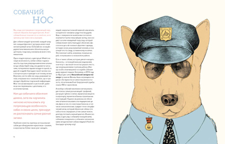 Собаки и кошки: что знает о них наука