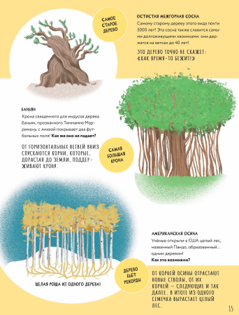 Тайны деревьев