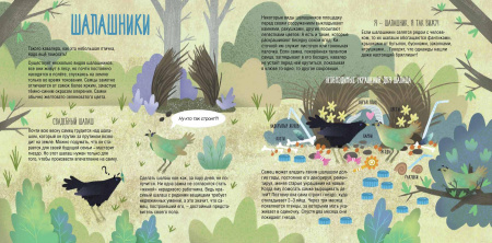 Папа, мама, я – звериная семья