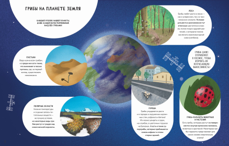 Тайны грибов