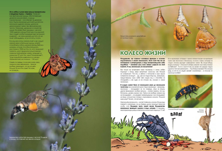 Насекомые в комиксах. Том 2.