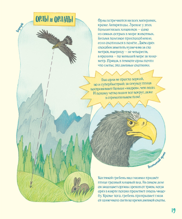 Гениальные глаза