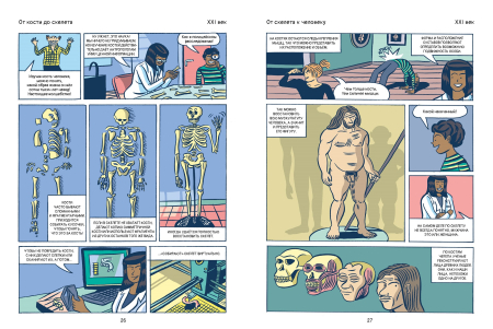 Эволюция человека в комиксах