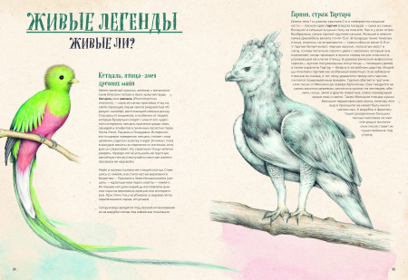 На грани исчезновения: животный мир Земли