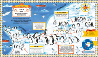 Куда идут пингвины?