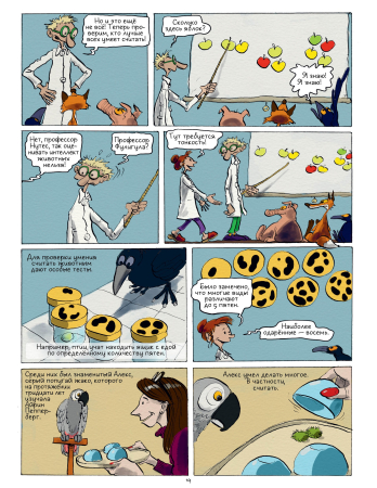 Самое умное животное на Земле