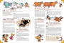 Мифята. Геройства Геракла. Том 7