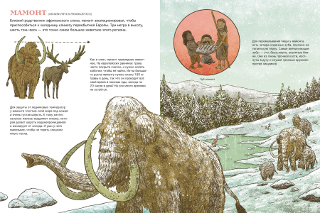 Первобытный мир: люди и животные