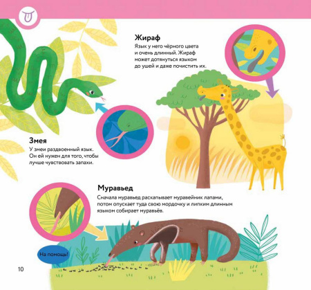 Чей это нос? Чей это хвост?