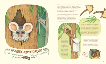 Удивительные уши