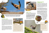 Птицы в комиксах. Том 2