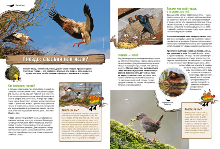 Птицы в комиксах. Том 2