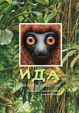 Ида: Взгляд из прошлого