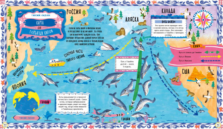 Куда идут пингвины?