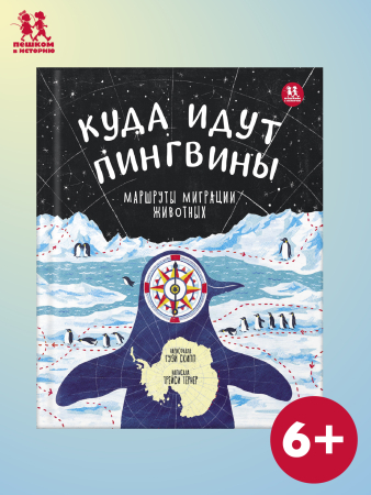 Куда идут пингвины?