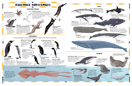 Антарктида: тающий континент