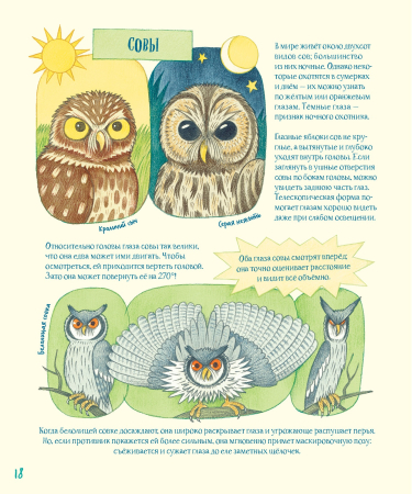 Гениальные глаза