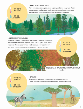 Тайны деревьев