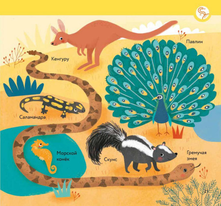 Чей это нос? Чей это хвост?