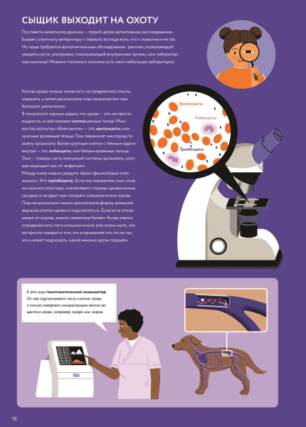У ветеринара: как устроена медицина для животных