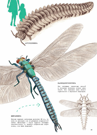 От тираннозавра к петуху! Большая книга эволюции животного мира
