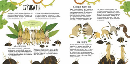 Папа, мама, я – звериная семья