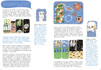 Физика вокруг нас