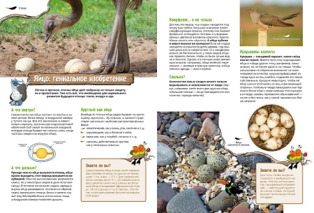 Птицы в комиксах. Том 2