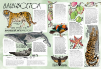 Дикие города