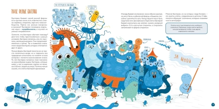 Клетки: из чего сделано всё живое