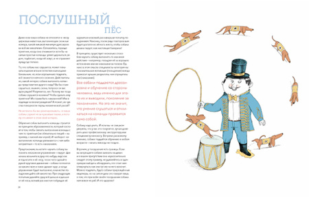 Собаки и кошки: что знает о них наука