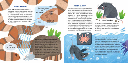 Суперзверята