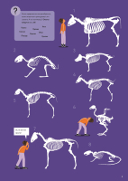 У ветеринара: как устроена медицина для животных