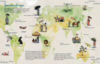 Книга про Зонтики