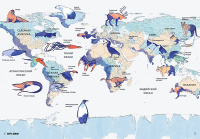 Планета Земля. Мир вокруг нас в инфографике