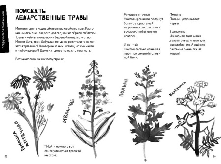 50 познавательных игр на природе