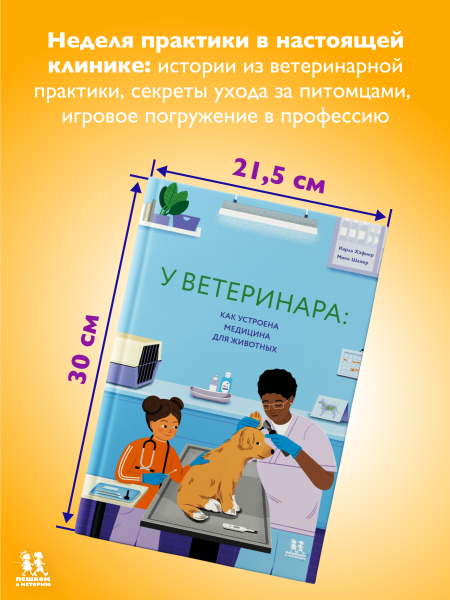 У ветеринара: как устроена медицина для животных