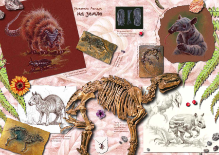 Ида: Взгляд из прошлого