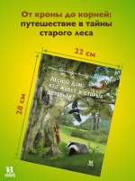 Лесной дом: кто живёт в старых деревьях?