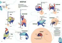 Планета Земля. Мир вокруг нас в инфографике